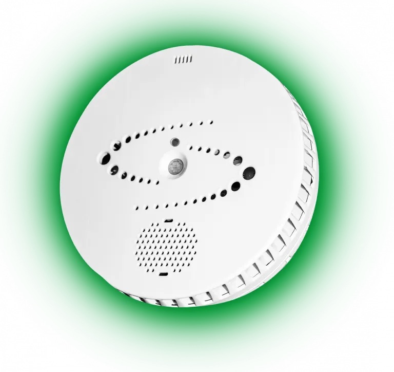 Integrated Security Services