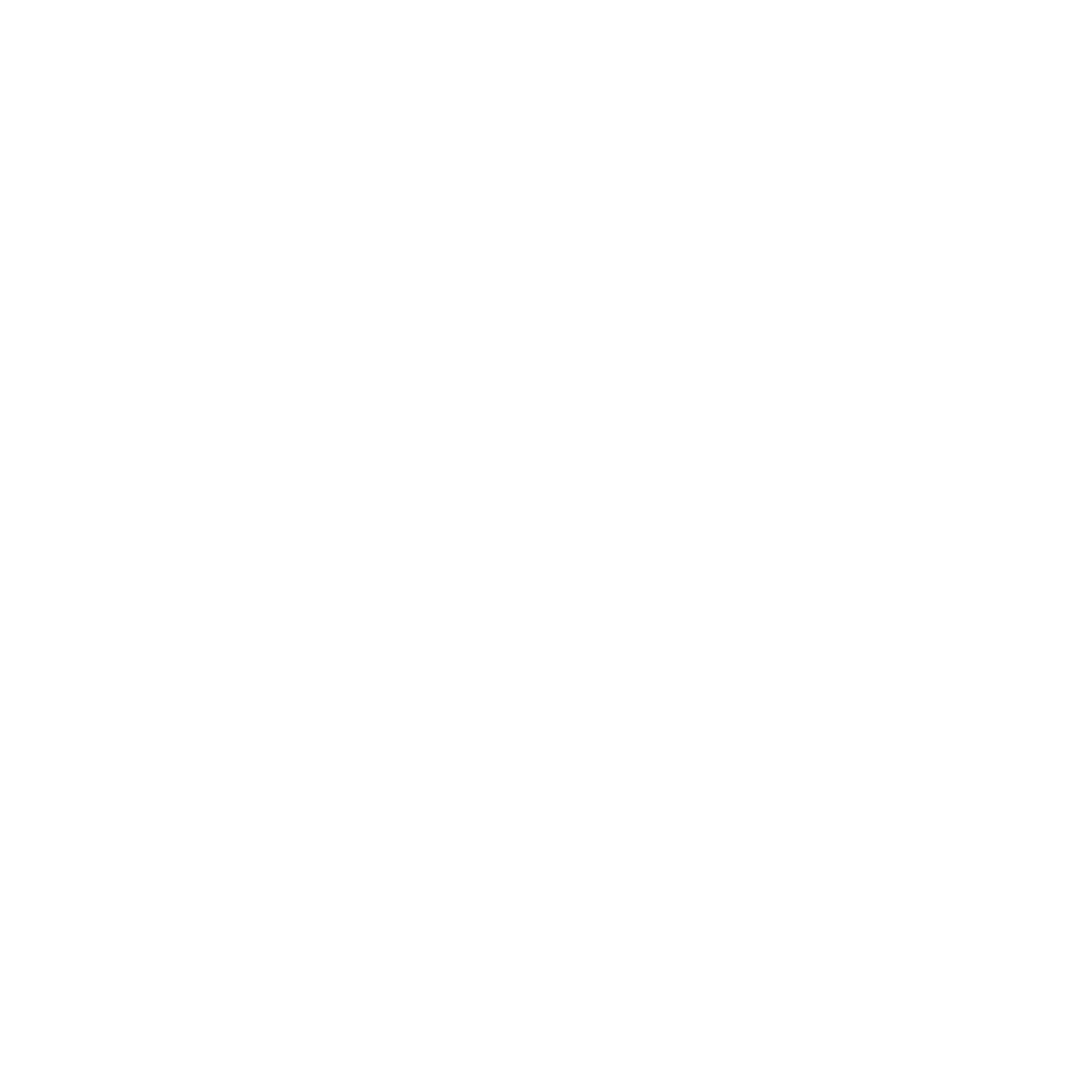 Integrated Security Services